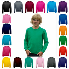 Children Kids Boys Girls Plain Sweatshirt Pull Over Jumper School Uniform Top