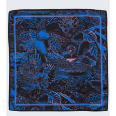 NWT Paul Smith Silk Chilean Coast Art Print Pocket Square/Handkerchief Italy