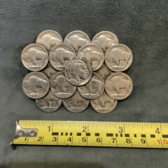 Buffalo Coin Indian Head Belt Buckle - 17 Coins