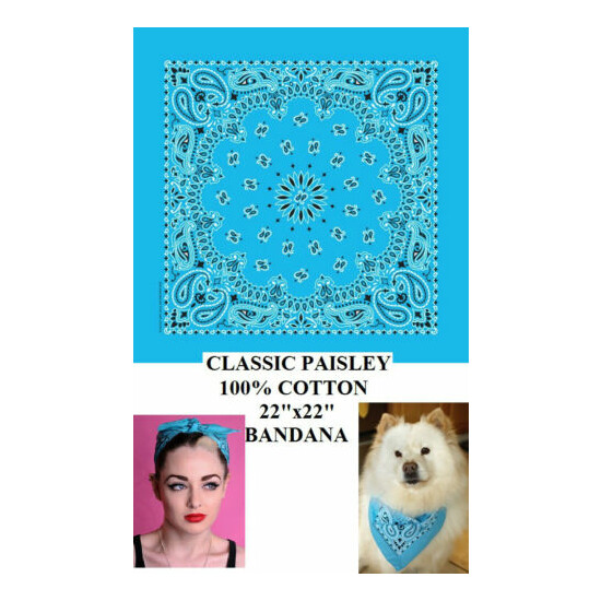 12-Hav-A-hank Cotton BLUE PAISLEY BANDANA Face Mask Neck Scarf Scarve Head Wrap image {1}