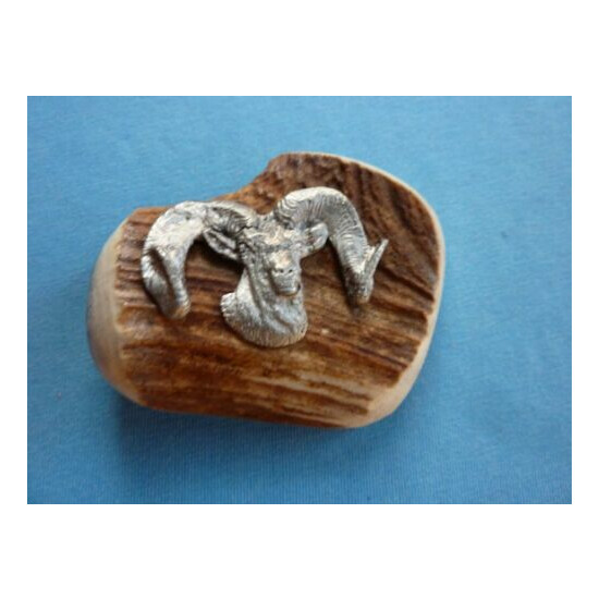 BIG HORN SHEEP BELT BUCKLE MADE OF HORN HUNTING DEER BUCK FISHING HILL COUNTRY image {1}