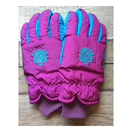Vintage Aspen Retro Winter Gloves Thinsulate Size Medium Large 90s Teal Purple image {1}