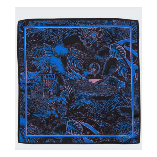 NWT Paul Smith Silk Chilean Coast Art Print Pocket Square/Handkerchief Italy Thumb {1}