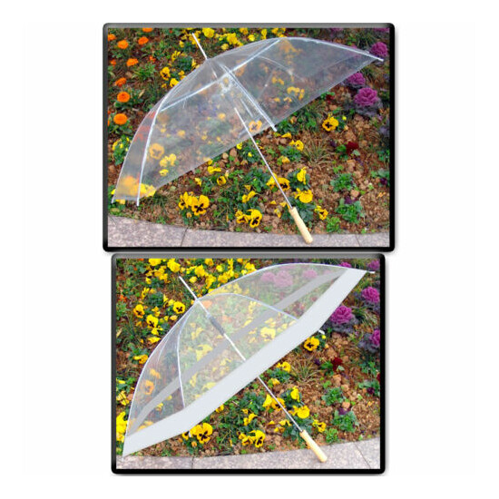 SET OF 2: 48" Clear Auto Open Golf Umbrellas, All Clear or Clear & White image {1}